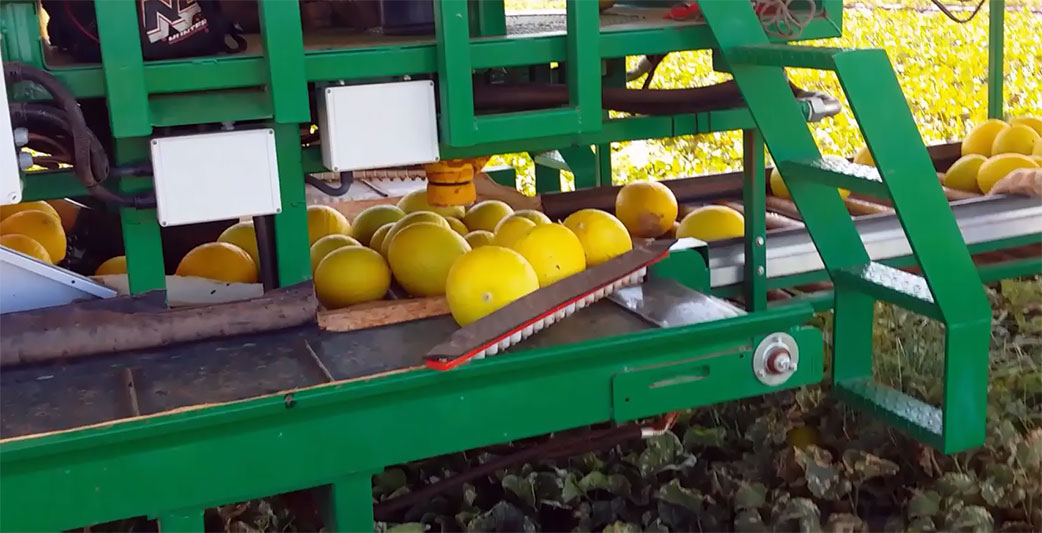 Самоходная машина для сбора фруктов AFH-T5