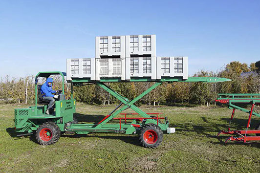 Самоходный контейнеровоз для сбора урожая AF-PP